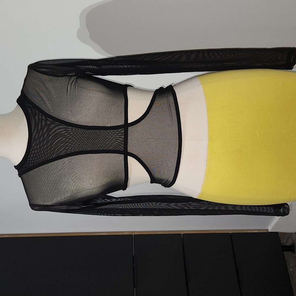 Sheer cropped top